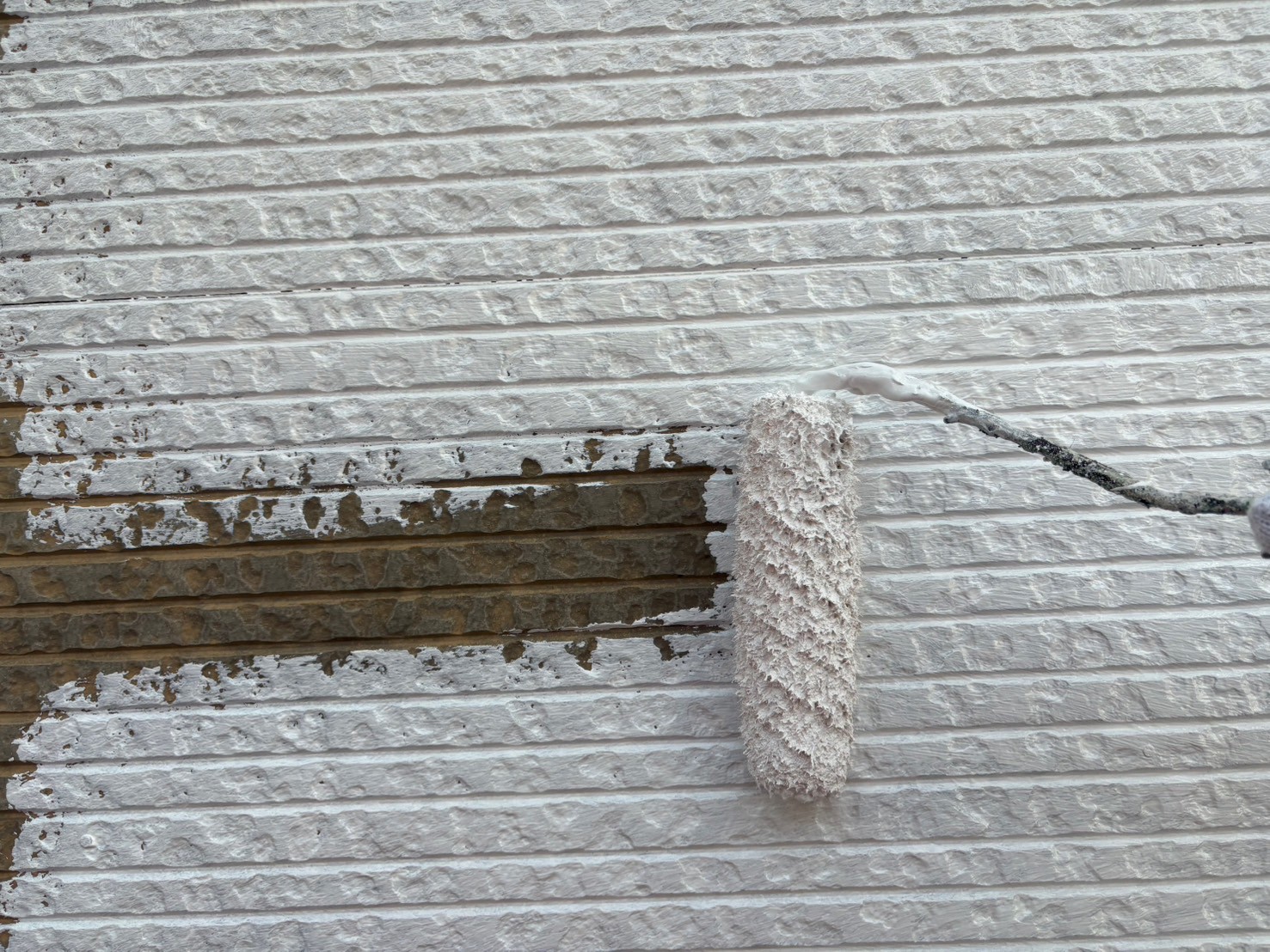 LINE_ALBUM_使って戴きたいお写真等です。_250407_27